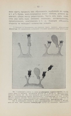 Тарасевич Л.А. К учению о гемолизинах. Историко-критическое и экспериментальное исследование. Одесса, 1902.